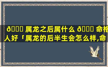 🐒 属龙之后属什么 🐛 命格的人好「属龙的后半生会怎么样,命运怎么样」